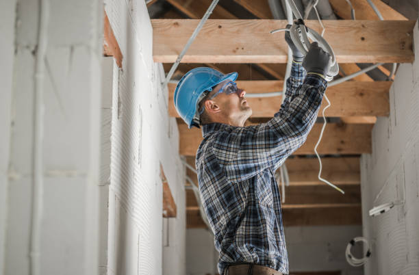 Best Electric Panel Repair  in Oliver Springs, TN